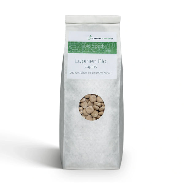 Süsslupinen Bio Sprossensamen 500g