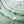 Spirulina-Messung